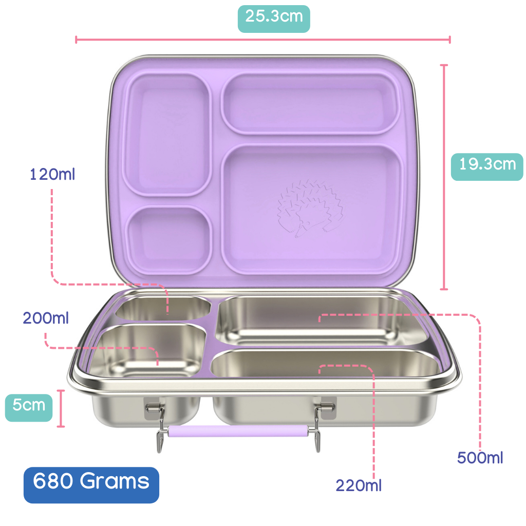 Oli Eve Bento 4 Stainless Steel Lunchbox dimensions and weight infographic