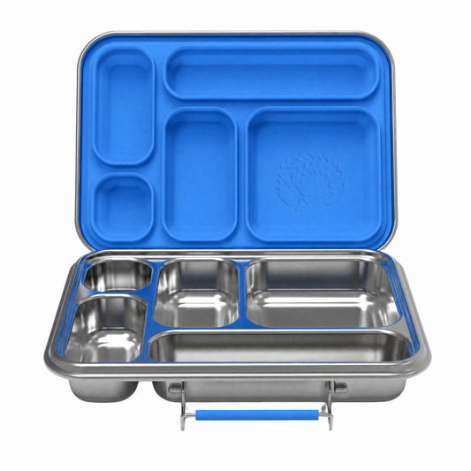 Oli Eve Stainless Steel Bento 5 Lunchbox in big blue with five compartments for kids' lunches