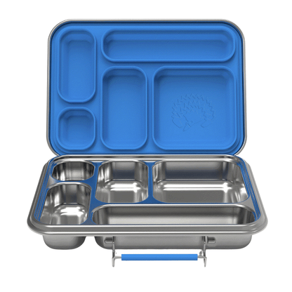 Oli Eve Stainless Steel Bento 5 Lunchbox in big blue with five compartments and silicone inserts for kids' sustainable lunches