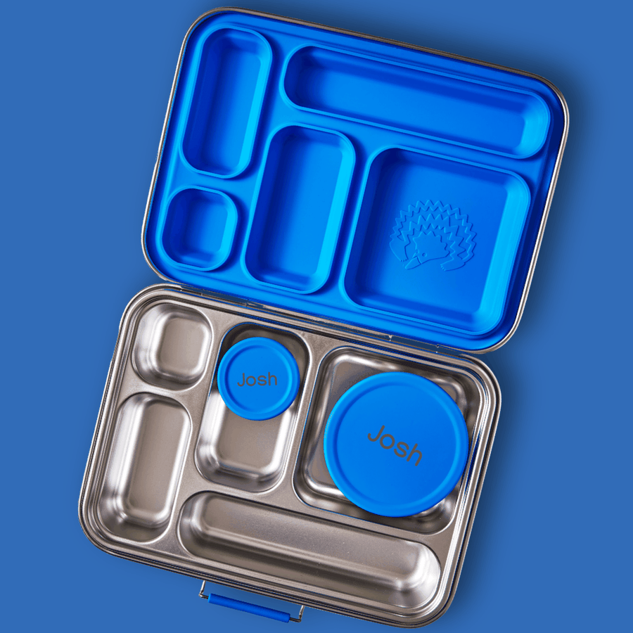 Stainless Steel Bento 5 Lunchbox & Snack Pots - Big Blue
